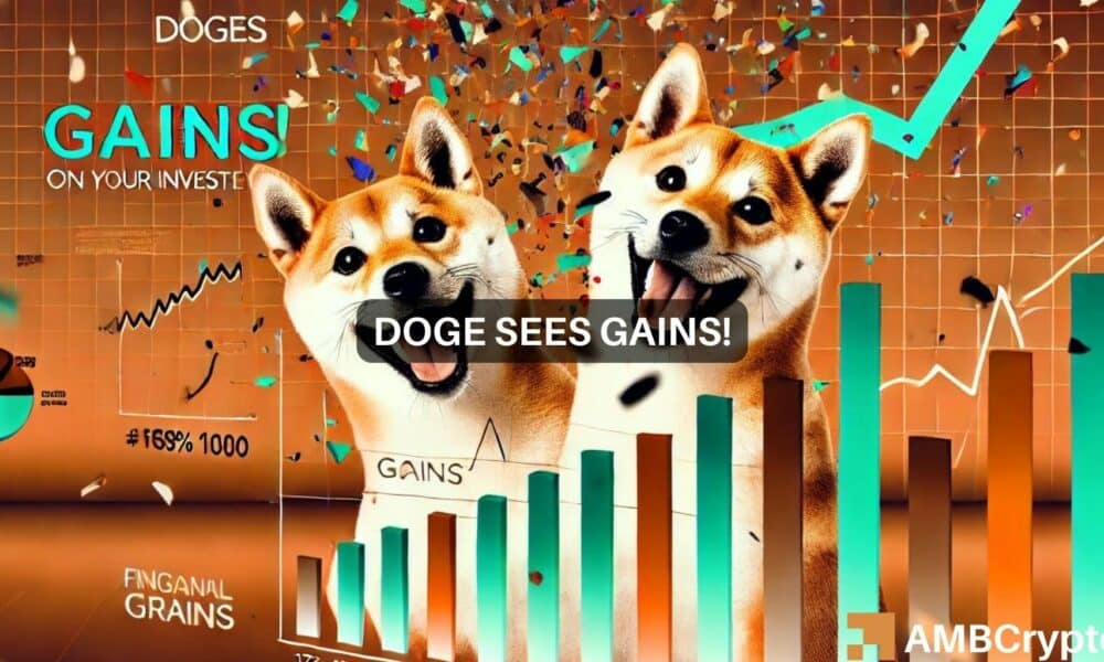 Evaluating the Future Trajectory of DOGE’s Market Performance