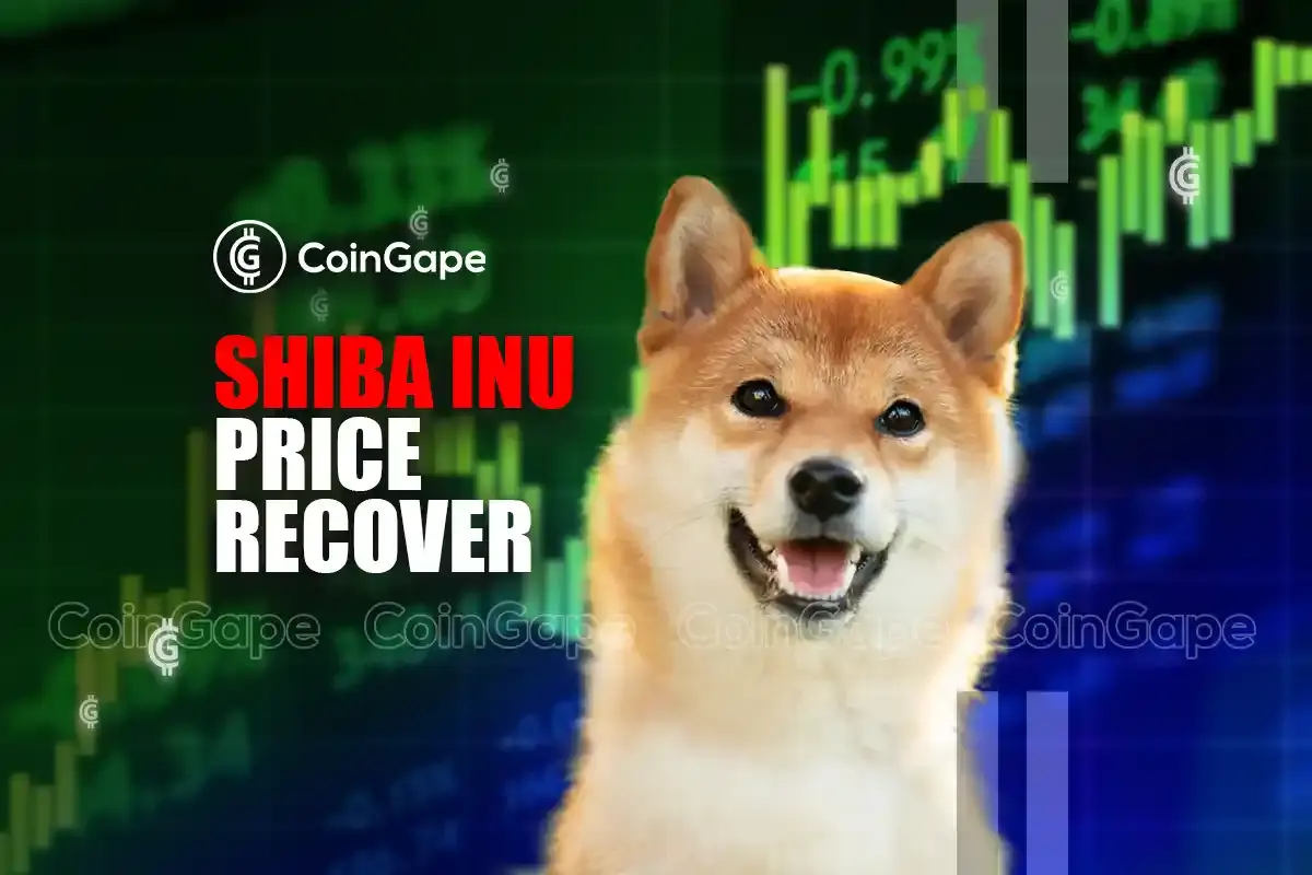 Shiba Inu’s Price Poised for Growth, Targets $0.00003 as Undervalued