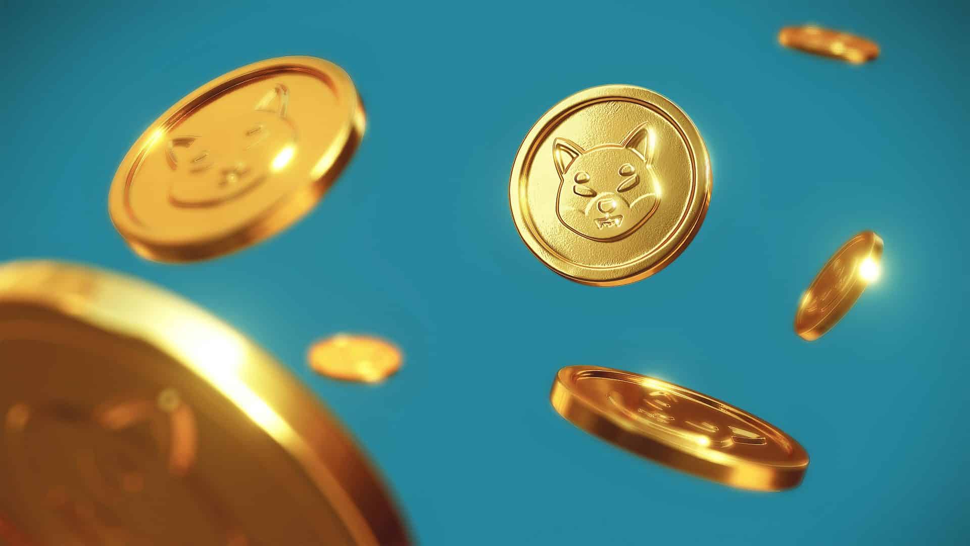 Has Shiba Inu Been Removed from Binance Listings?