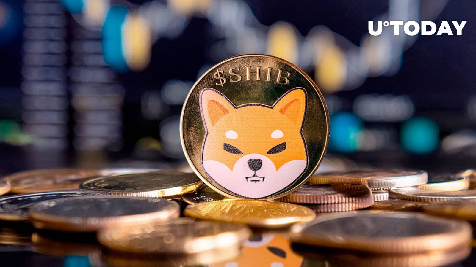 Shiba Inu’s Value Surges 243% But SHIB’s Market Price Stays Static