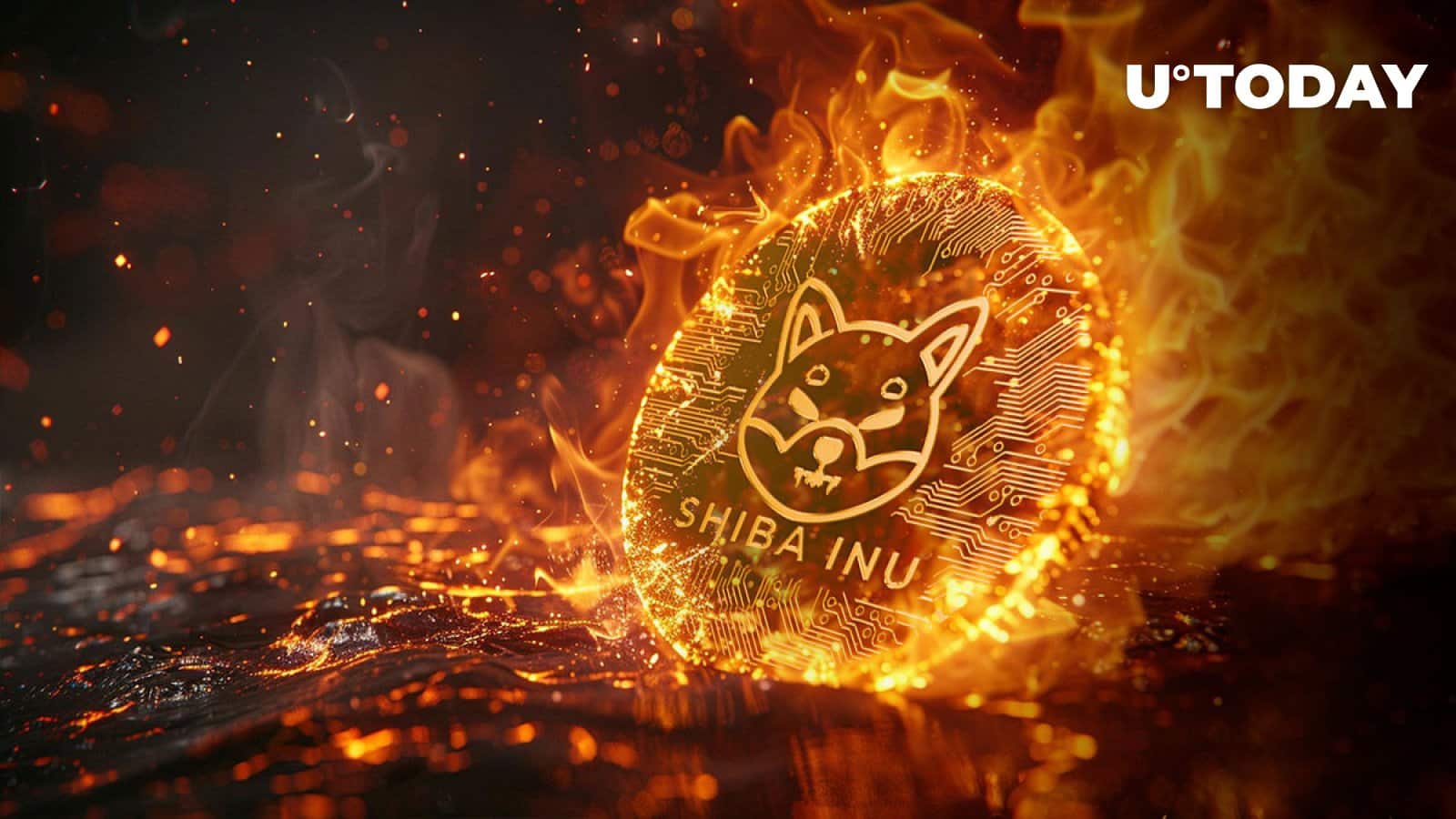 Shiba Inu Crypto Chief Talks Gaming Tokens & Economy