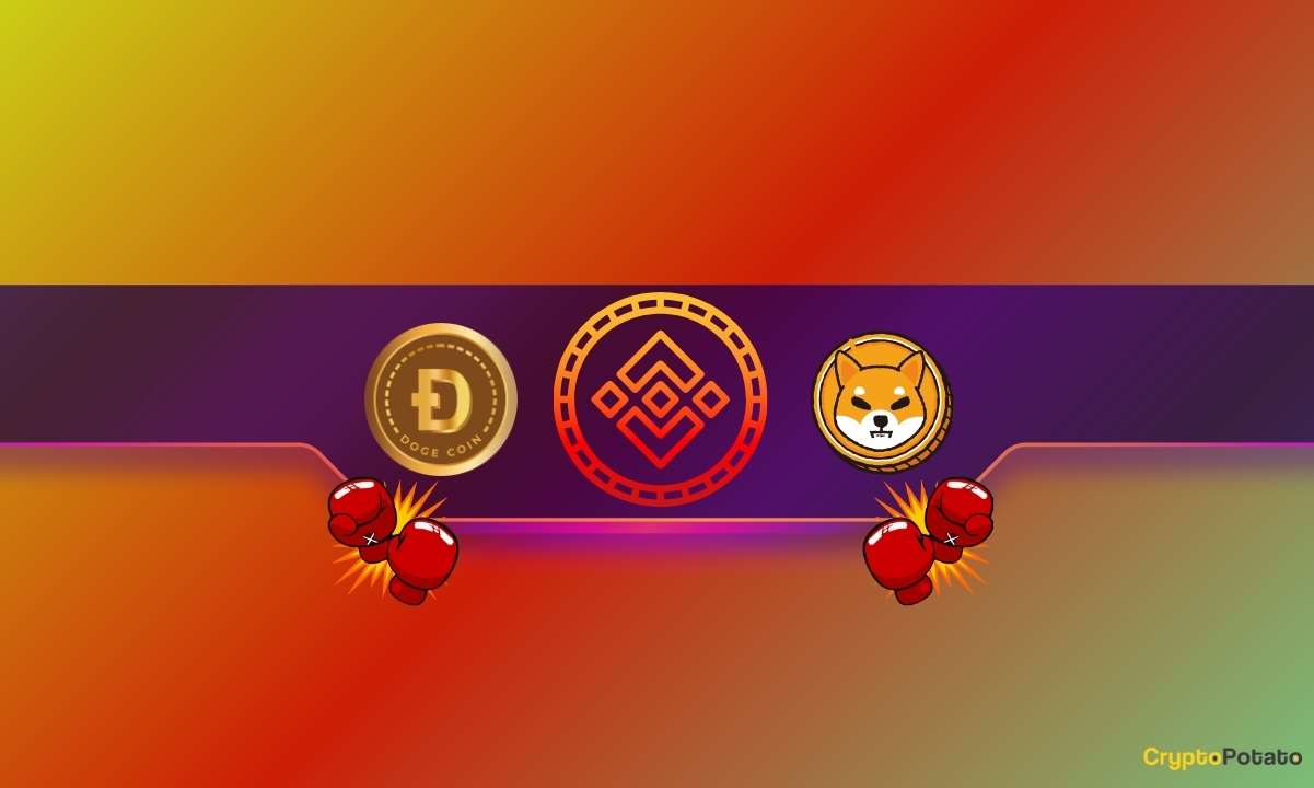 Major News for SHIB & DOGE Players from Binance