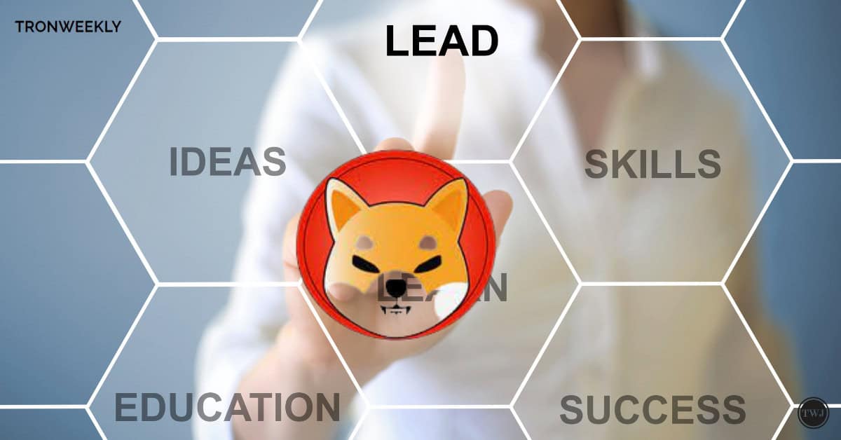 Shiba Inu’s Lead Developer Ends Silence with Surprise Update after 13 Days