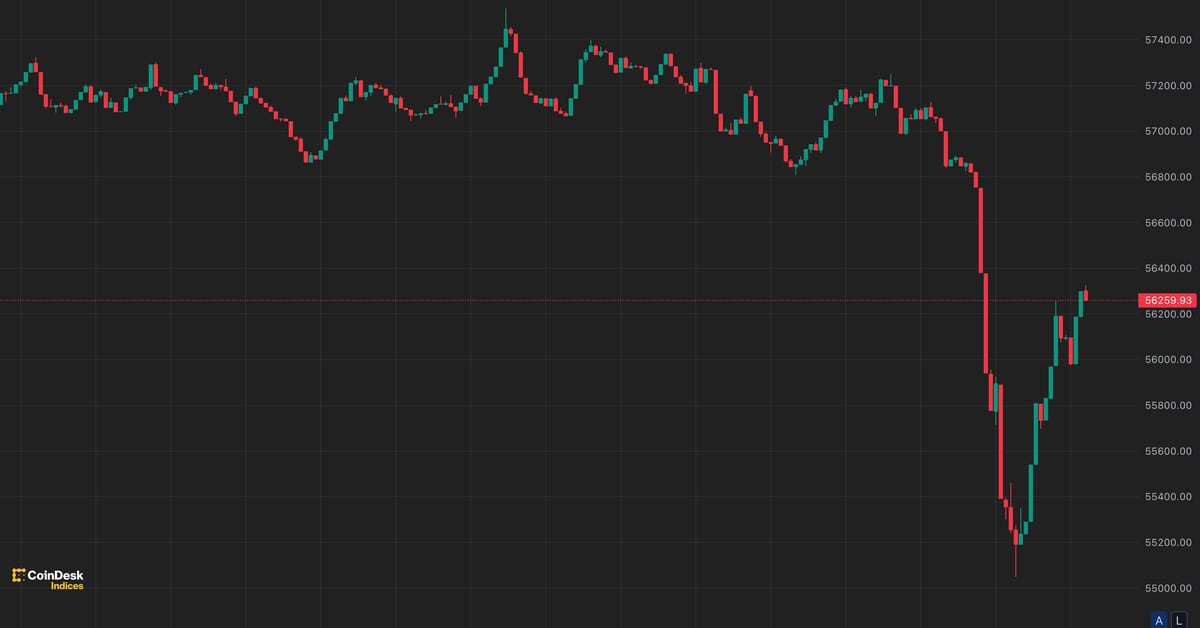 Bitcoin’s Value Declines to $55,000 Amid German Government Selling $500M Worth of Assets