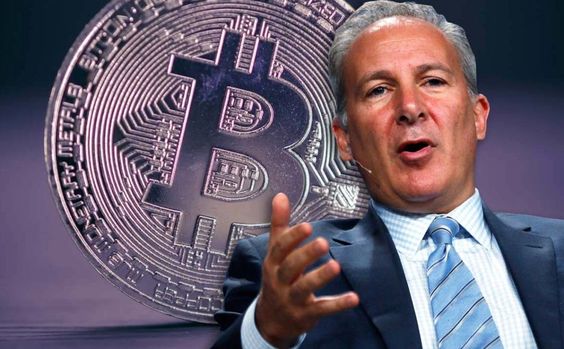 Peter Schiff Criticizes RFK Jr.’s Bitcoin Strategy as Election Bribery Method