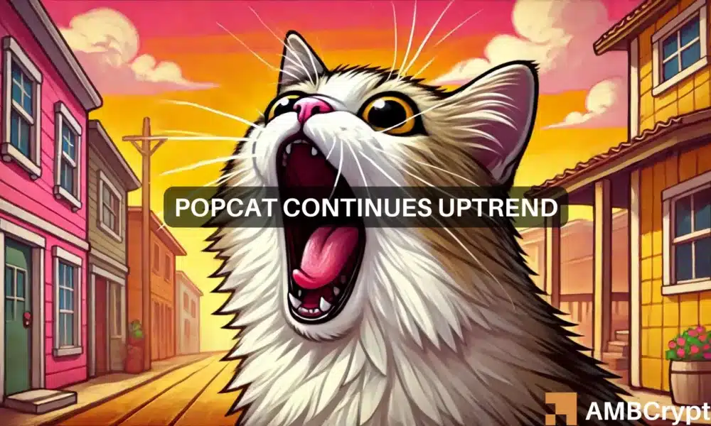 Solana’s Popcat Volatility: A Rising Opportunity for Profit?