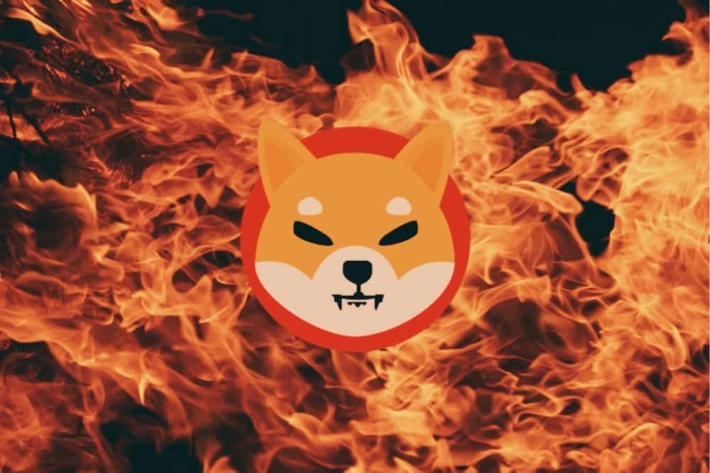 Shiba Inu Token Frenzy Spurs 3600% Burn, Game Price Boost Ahead?