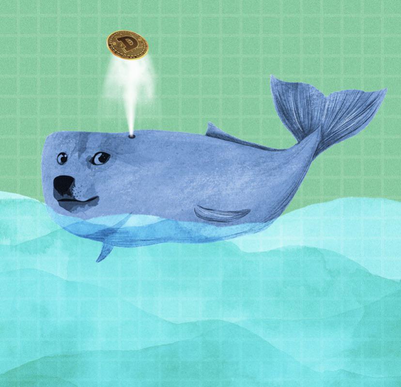 Whale Buys of Dogecoin Surge by 868%, Signaling Potential Bull Run