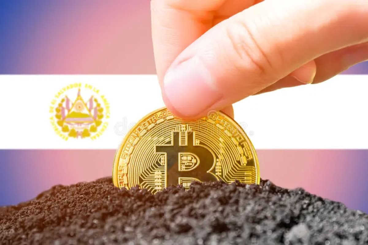 Discover How El Salvador Empowers Civil Servants with Bitcoin Training