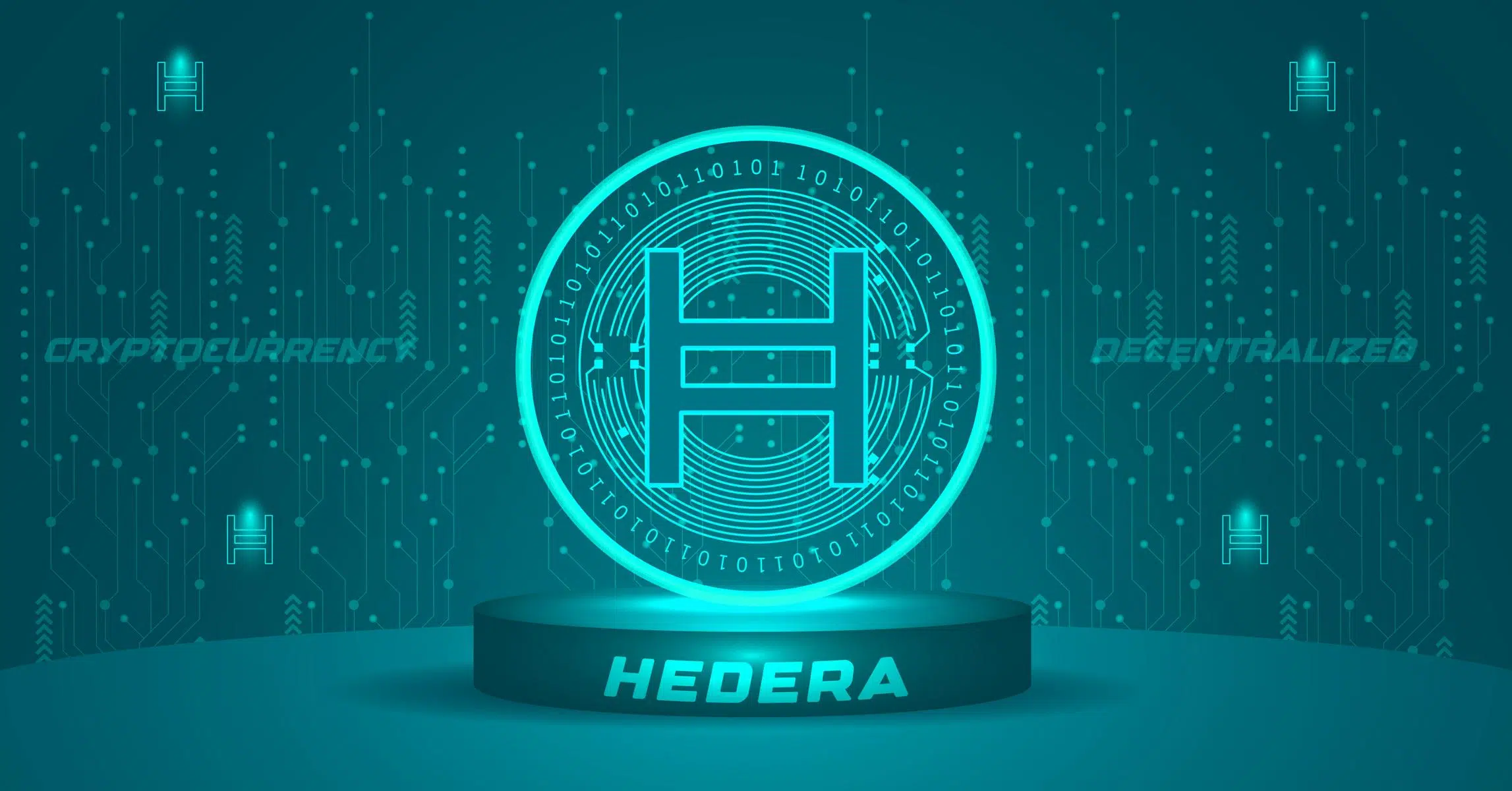 Hedera Transactions Skyrocket 46% Amid Market Adjustment – What You Need to Know