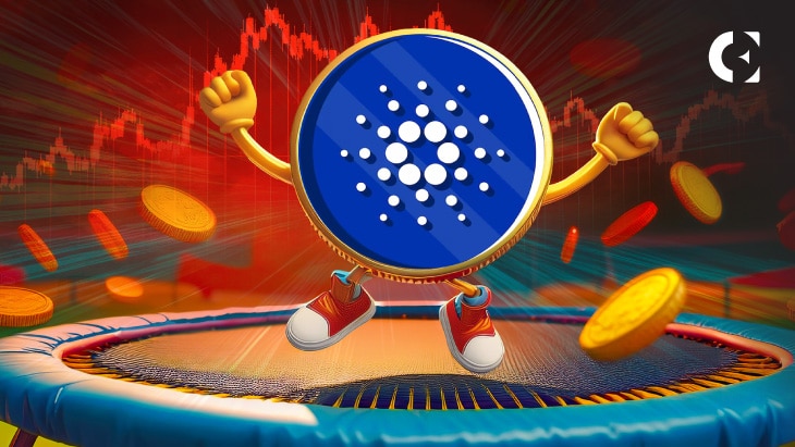 Analyst Signals Possible Cardano (ADA) Rebound After Long Liquidations