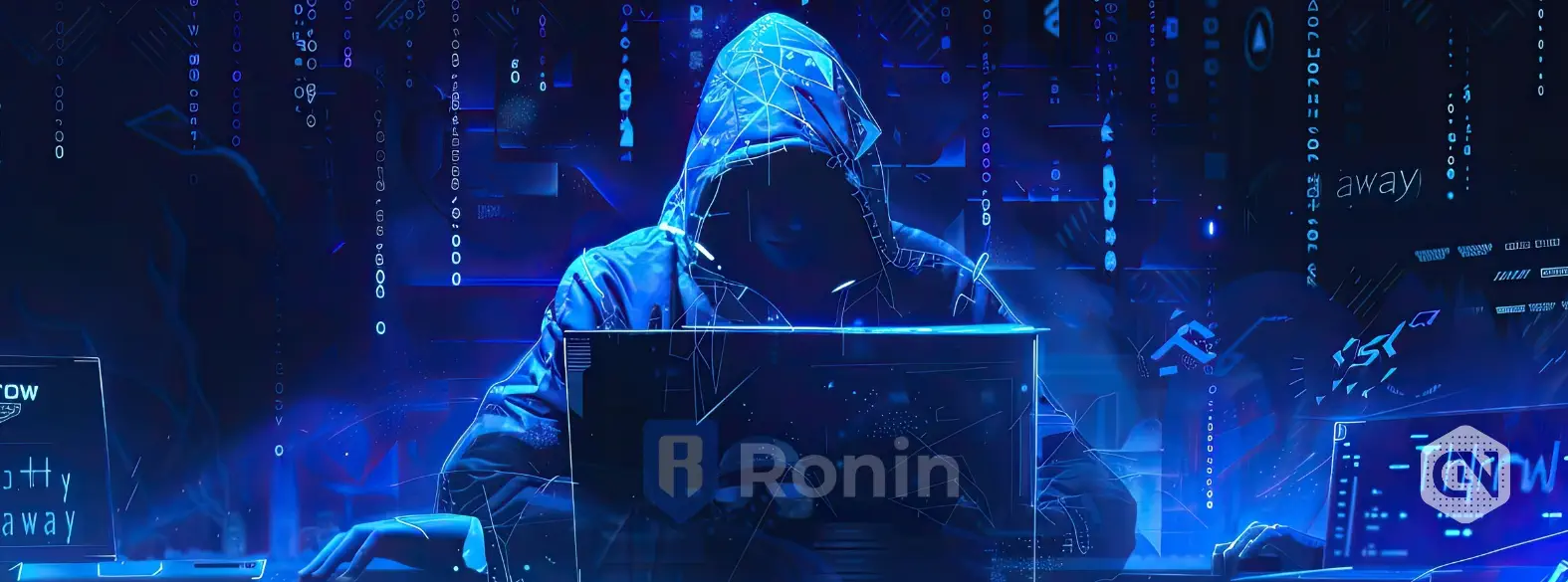 Heroic Hacker Saves Ronin’s $10M – Bags $500K Reward