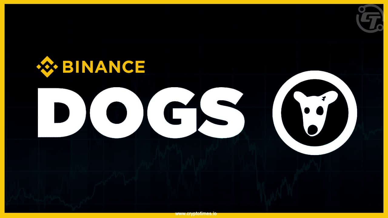 Master Trading DOGS Token on Binance With This Ultimate Beginner’s Guide