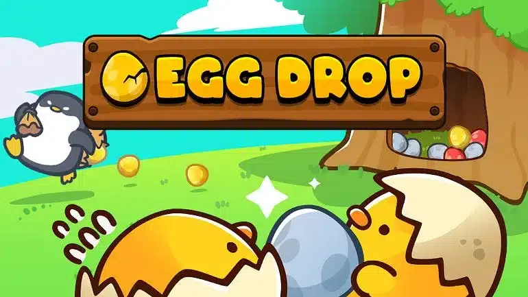 Egg Drop Guide