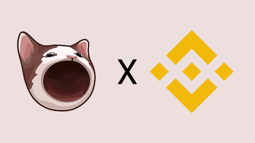 Popcat Soars 35% Post-Binance Nod: Is MoonBag Poised for a Skyrocket?