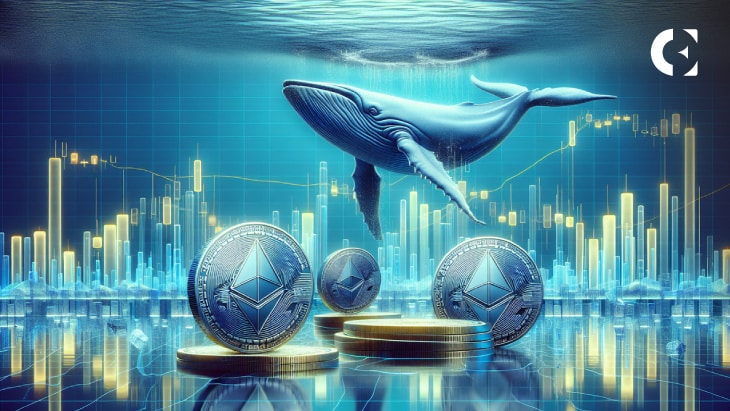 Spot the Next Big Crypto Wave: Follow the Trail of an ETH ICO Whale