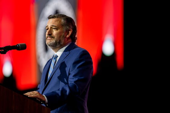 Ted Cruz Wins Major Support from Texas Blockchain Council for Senate Campaign