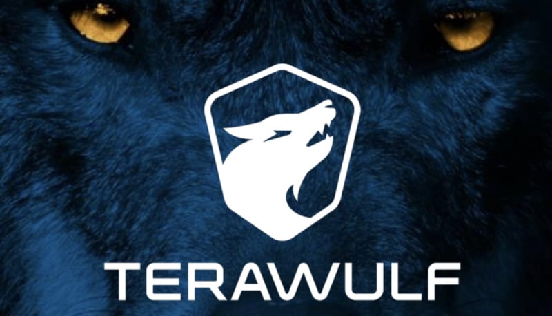 TeraWulf Surprises with Revenue Rise While Bitcoin Production Slumps by 21%