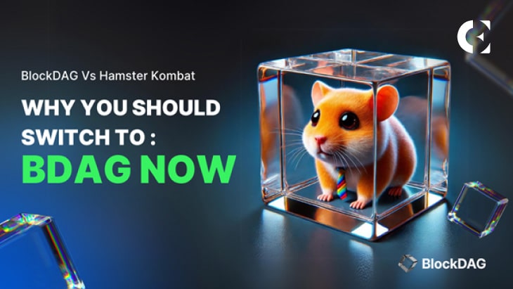 Unleash Your Skills: Dive into the Frenzy of BDAG’s TG Tap Miner & Master Hamster Kombat