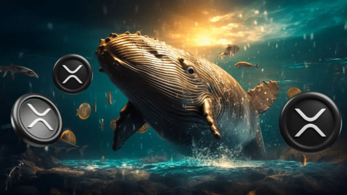 What Drives a Whale to Transfer 33 Million XRP to Binance? Discover Now