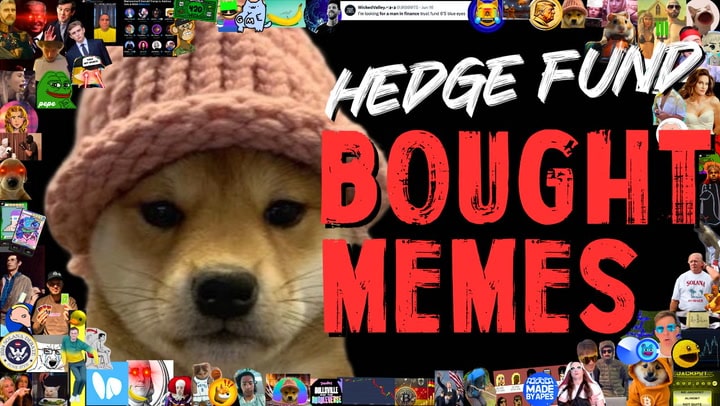 Why This Hedge Fund Invests in Meme Coins – The Surprising Strategy Revealed