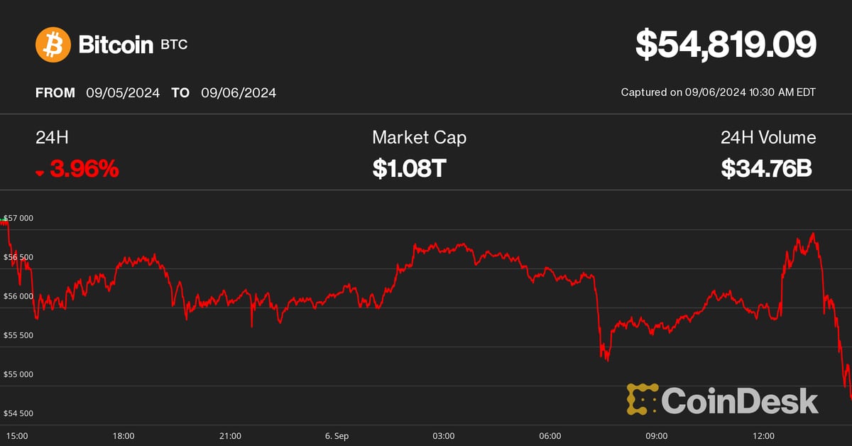 Bitcoin Rollercoaster: Soars Then Plunges to $55K Following Jobs Report Shock