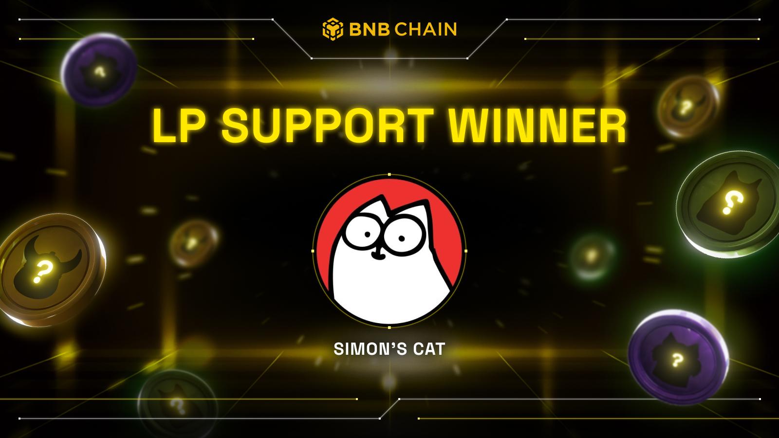 Discover Who Just Won BNB Chain’s Meme Heroes LP Support – Surprising Winner Revealed!