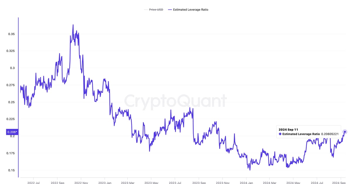 Discover Why Bitcoin Market Leverage is Climbing – Revealed by Coin24h!