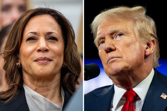 Survey Reveals Crypto Enthusiasts Prefer Trump to Harris in Next Election