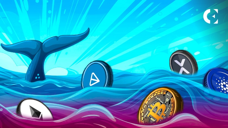 Why Major Crypto Whale Transactions Are Dropping Fast – Insights on BTC, ETH, & More